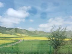 -扁都口生态休闲旅游区