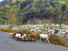 -孟屯河谷景区