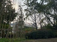 -金牛体育中心(金牛体育馆店)