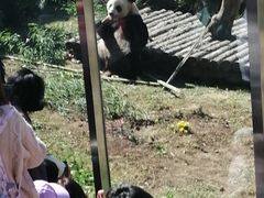 -大连森林动物园