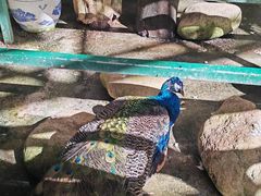 -厦门园林博览苑