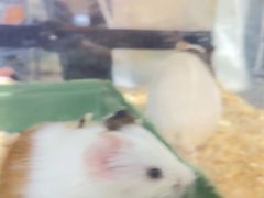 -奎屯友好时尚购物中心