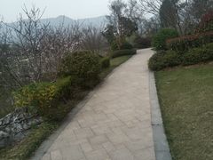 -雅达·阳羡溪山小镇中心