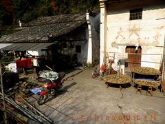 -祁门牯牛降观音堂风景区