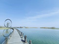 -太湖湖滨国家湿地公园-停车场