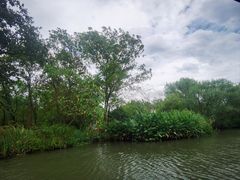 -西溪国家湿地公园