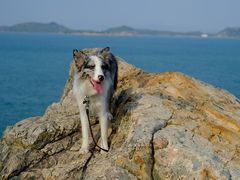 -美人鱼悬崖海景餐厅(鹿嘴山庄店)