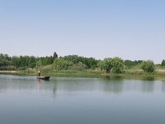 -溱湖国家湿地公园