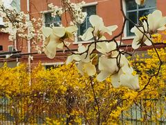 -国家植物园南园