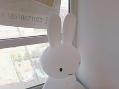 -红像馆连锁精致证件照职场照(中关村店)