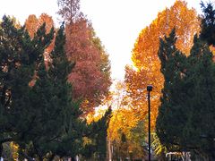 -山东大学(洪家楼校区)