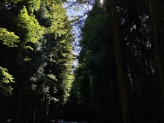 -山王坪喀斯特国家生态公园