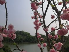 -观澜湖生态运动公社