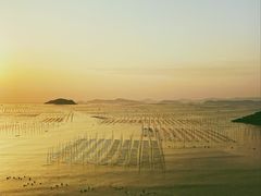 -北岐滩涂