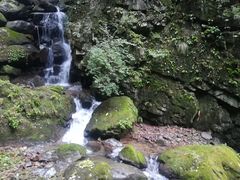 -藏龙百瀑风景区