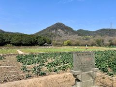 -八卦田遗址公园