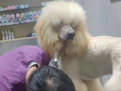-宠颐生动物医院·小陆分院