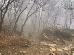 -妙峰山风景名胜区