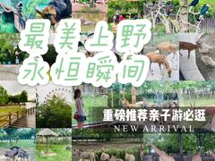 -上海野生动物园