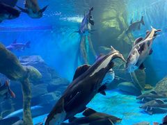 -多彩贵州城极地海洋世界