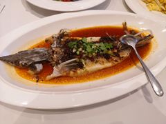 豆豉蒸鲟龙鱼-万龙洲海鲜(大兴绿地缤纷城店)