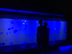-暹罗海洋世界
