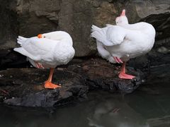 -兰亭风景区
