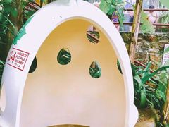 -100蛋泥浆浴