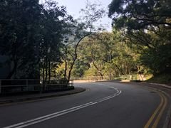 -大埔公路-马料水段香港中文大学(公交站)