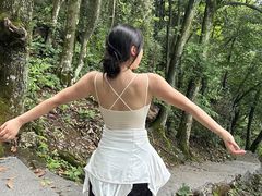 -岣嵝峰国家森林公园