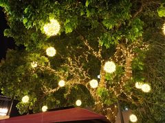 -泰堤坊(淡水体育馆店)