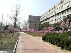 -山东师范大学(千佛山校区)