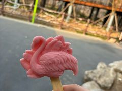 -武汉动物园