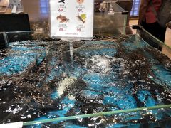 水产区-盒马鲜生(曜一城店)