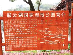 -重庆彩云湖湿地公园