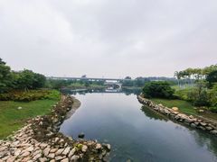 -宝安西湾红树林湿地公园