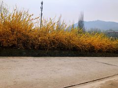 -四门塔风景区