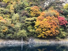 -叠溪松坪沟景区