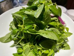 -金狮麟·新豫菜(杏石口路店)