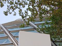 -凤凰中心