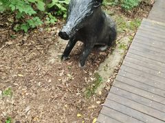 -内乡宝天曼生态旅游区