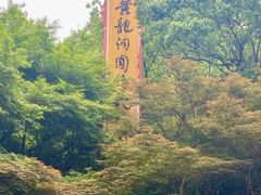 -杭州黄龙洞