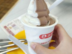双色冰淇淋-冰岛茶餐厅(人民路店)