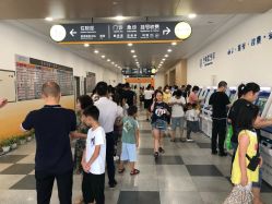 -上海交通大学医学院附属上海儿童医学中心(陆家嘴总院区)