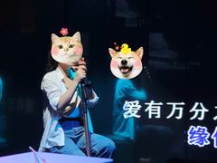-纯K(打浦桥店)