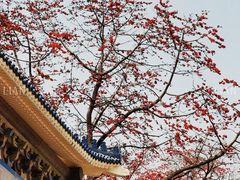 -广州中山纪念堂
