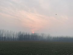 -济南轻骑摩托车有限公司(和平路)