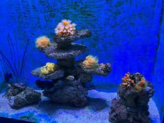 -大连老虎滩海洋公园