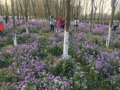 -白塘生态植物园