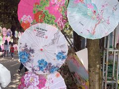 -清溪大王山森林公园